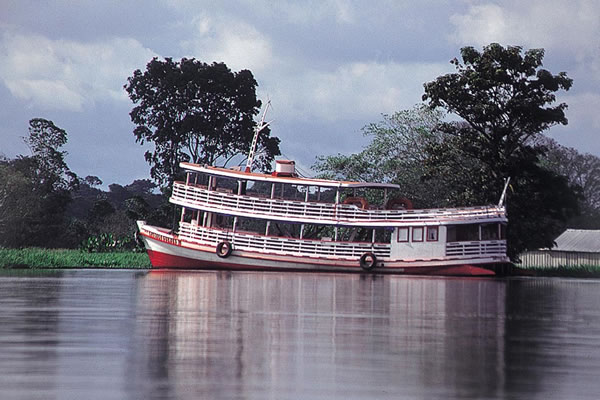 アマゾン川のピンクイルカ